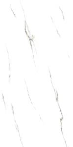 ZOTTO WHITE