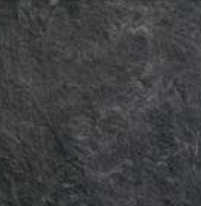TRIVO BLACK
