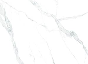 VERZE WHITE