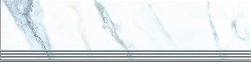 12023 STEP